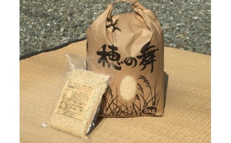 B-54 木村義昭さんのコシヒカリ5kgと炊飯器で発芽する玄米3合セット