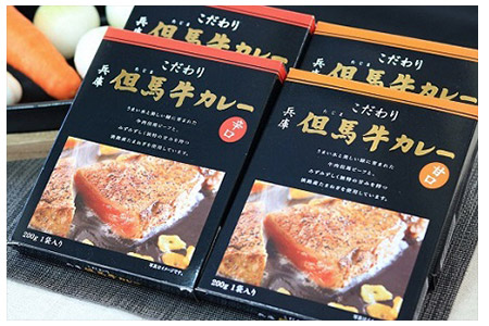 B-27 但馬牛カレーセット(甘口2個・辛口2個)