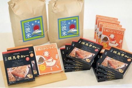 E-13 こだわり但馬牛カレー&生野ハヤシライスと朝来市三波産コシヒカリ(5㎏×2袋)