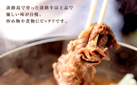 淡路牛 切り落し 1kg(250g×4パック) 小分け 冷凍 牛肉