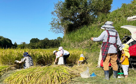 《玄米》淡路島の棚田米 ５kg　　玄米