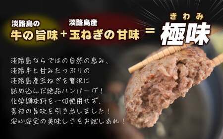【定期便3ヶ月】淡路島 極味ハンバーグ 150g×12個