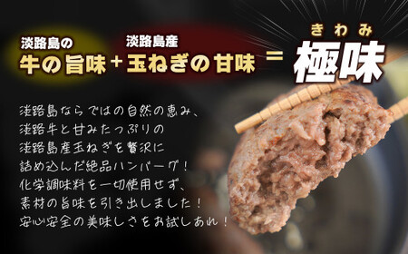 【定期便6ヶ月】淡路島 極味ハンバーグ 150g×12個　　[牛肉100％ 冷凍食品 国産牛 ハンバーグ 化学調味料無添加]