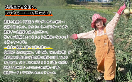 淡路島産ブランド新玉ねぎ 極早生 「にじたま」  10kgダンボール入り【発送時期2026年2月中旬～4月頃】