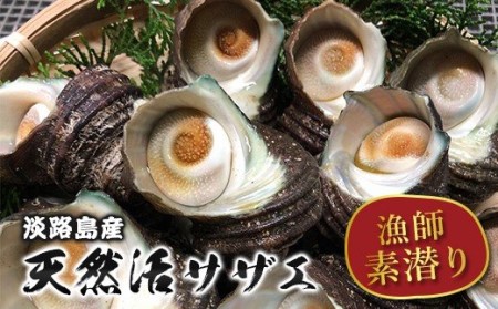淡路島産 活サザエ 1.2kg