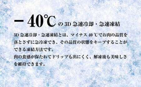 【定期便12ヶ月】【訳あり】淡路牛 切り落とし 1.5ｋｇ(300ｇ×5Ｐ)　【3D急速冷凍】　定期便 小分け 牛肉 人気 切り落とし