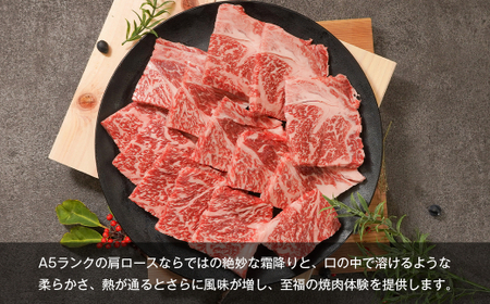 【A5ランク限定】淡路島産黒毛和牛 焼肉用 肩ロース 500g【神戸牛】 焼肉セット 牛肉 高級 神戸牛