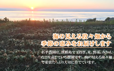 名手農園の淡路島産玉ねぎスープ 6g×60袋　 玉ねぎスープ 粉末 淡路島産 簡単調理 オニオンスープ