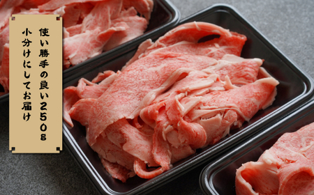 【定期便12ヶ月】淡路牛 贅沢切り落とし 1kg (250g×4PC)　[小分け 冷凍]