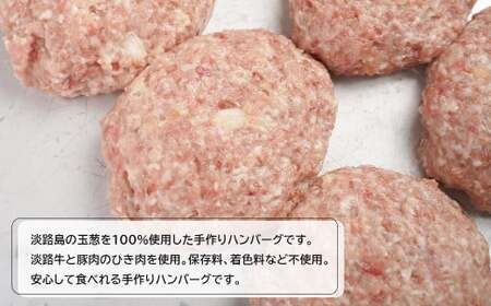 淡路島チーズインハンバーグ 120g×8個