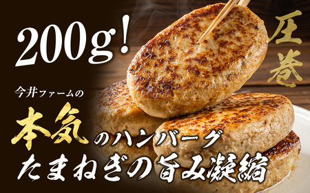 淡路島たまねぎどっさりジャンボハンバーグ プレーン＆チーズセット 200g×10個　　[チーズハンバーグ 食べ比べ 人気]