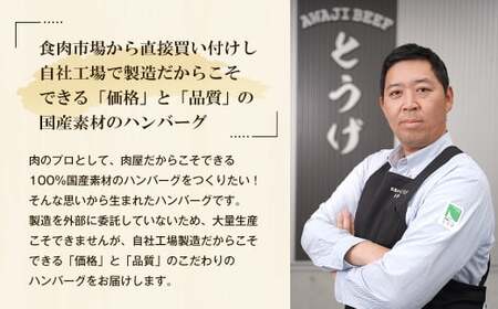 訳アリ 淡路島玉ねぎと国産牛のミニハンバーグ4.2kg 40g×105個 ハンバーグ