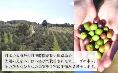 50本セット!「Virgin Valley 淡路阿利布」182g(エキストラバージンオリーブオイル)【2024年度産】