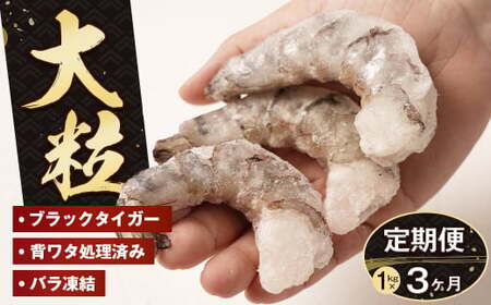 【定期便3ヶ月】至福の大粒むきえび　背ワタ処理済 1kg　ブラックタイガー 冷凍 ムキエビ  大型 海老