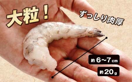 【定期便3ヶ月】至福の大粒むきえび　背ワタ処理済 1kg　ブラックタイガー 冷凍 ムキエビ  大型 海老