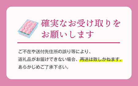 淡路島アイランドベリー　白苺淡雪　Mサイズ【2026年4月発送予約受付・お届け日指定不可】　[いちご]