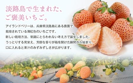 淡路島アイランドベリー　紅白いちご　淡雪/とちおとめ【2026年4月発送予約受付・お届け日指定不可】　[いちご]