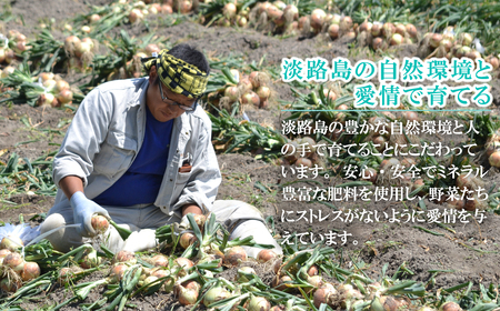 名手農園の淡路島産玉ねぎスープ 6g×100袋