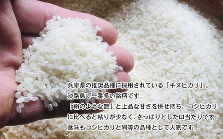 令和7年度 淡路島産キヌヒカリ 5kg (精米)