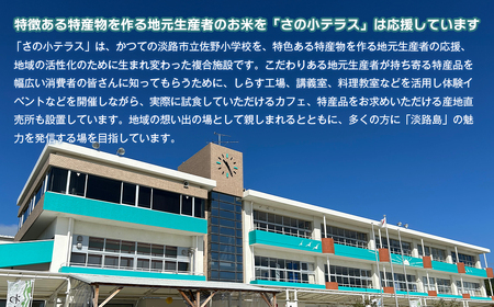 令和7年度 淡路島産キヌヒカリ 5kg (精米)