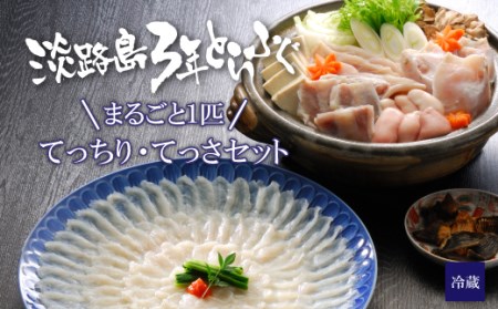 ay02008 淡路島3年とらふぐまるごと1匹(てっちり・てっさセット)