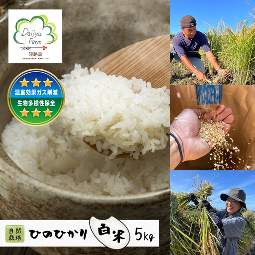 自然栽培　ひのひかり（白米）　5kg