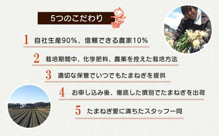 【定期便12ヶ月】淡路島たまねぎ 歩-AYUMU- 2kg　　[玉ねぎ 玉葱 タマネギ 玉ねぎ 淡路島産 玉ねぎ 玉ねぎ 玉ねぎ 玉ねぎ]