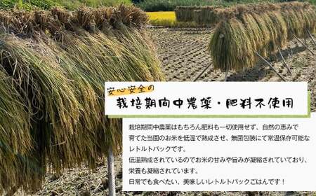 レトルトごはん（五穀玄米） 10パックセット 化学調味料無添加・無菌