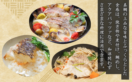 淡路島産 真鯛切身 120g（2～3切）×8パック