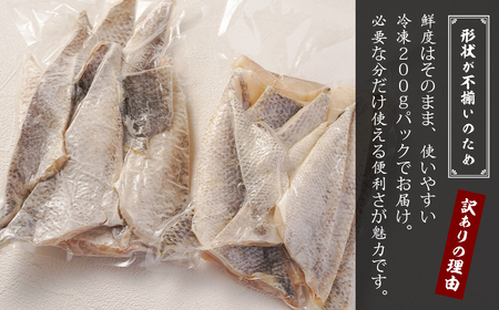 【訳アリ】淡路島産 スズキ切り落とし 1.2kg(200g×6パック)