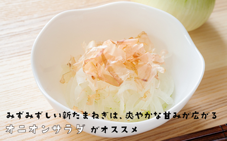 淡路島産新玉ねぎ 5kg　玉ねぎ