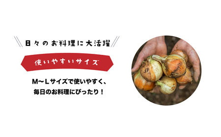 健幸農園の完熟淡路島産玉ねぎ 5kg　　[たまねぎ 産地直送 玉葱]