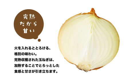 健幸農園の完熟淡路島産玉ねぎ 5kg　　[たまねぎ 産地直送 玉葱]