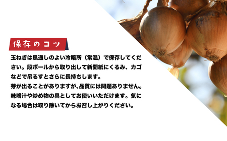 健幸農園の完熟淡路島産玉ねぎ 5kg　　[たまねぎ 産地直送 玉葱]