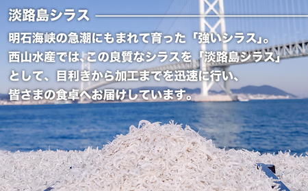 淡路島シラスの釜揚げ 100ｇ8袋入り（800ｇ）　[釜揚げしらす]