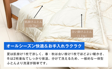 清潔掛ふとん 洗えるインビスタ ダクロン 2枚合わせ 日本製 SL ふわもち15TW