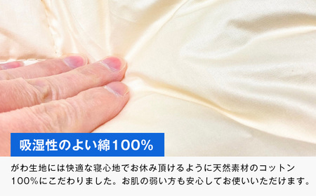 清潔掛ふとん 洗えるインビスタ ダクロン 2枚合わせ 日本製 SL ふわもち15TW