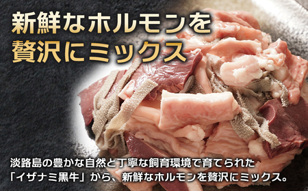 淡路島産プレミアム牛 イザナミ黒牛ホルモンミックス 1kg(500g×2パック)