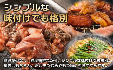 淡路島産プレミアム牛 イザナミ黒牛ホルモンミックス 1kg(500g×2パック)