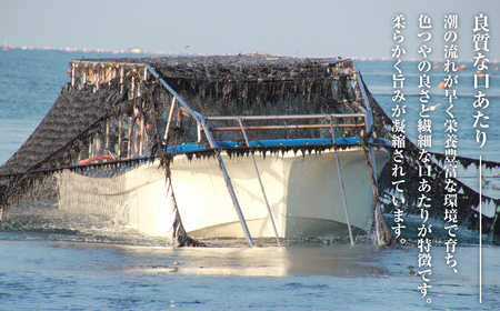 小浅謹製 バター風味のり（兵庫県産）8切×80枚（板のり10枚）×5袋　[味付けのり]