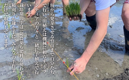 來子道米 ~きしどうまい~ 450g×3個 【栽培期間中、無農薬無肥料】 精米 白米