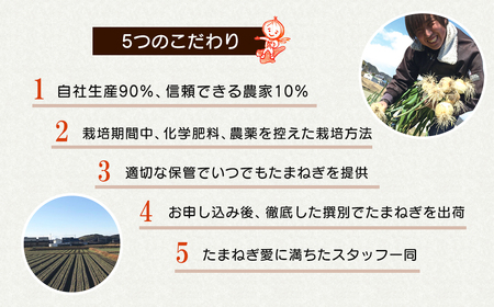 【新玉ねぎ】淡路島たまねぎ 大きな2Lサイズ 3kg【発送時期：2026年3月下旬～5月頃】　玉ねぎ 産地直送