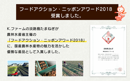 【新玉ねぎ】淡路島たまねぎ 大きな2Lサイズ 3kg【発送時期：2026年3月下旬～5月頃】　玉ねぎ 産地直送