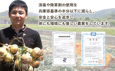 淡路島の牛肉とたまねぎ使用 今井ファームビーフカレー 200g×10食 レトルトカレー 保存食 ご当地カレー