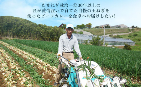 淡路島の牛肉とたまねぎ使用 今井ファームビーフカレー 200g×10食 レトルトカレー 保存食 ご当地カレー