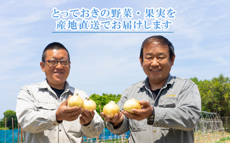 【定期便】名手農園の淡路島特産玉ねぎ10kgの12ヶ月コース　[たまねぎ 玉葱 ]