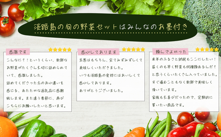 【定期便】淡路島の旬の野菜セット　３ヶ月コース（月１回×３回）