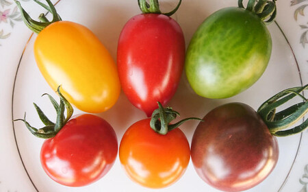 農楽園トマト おまかせ １ｋｇ詰め合わせ