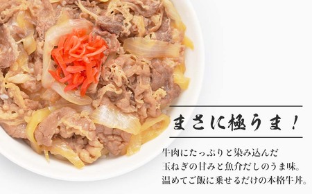淡路島玉ねぎの極うま牛丼の具　165ｇ×10個