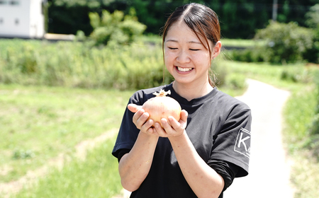 淡路島たまねぎ 大きな2Lサイズ 5kg　　[玉ねぎ 玉葱 タマネギ 玉ねぎ 淡路島産 たまねぎ 玉ねぎ 玉ねぎ 玉ねぎ 玉ねぎ 玉ねぎ]